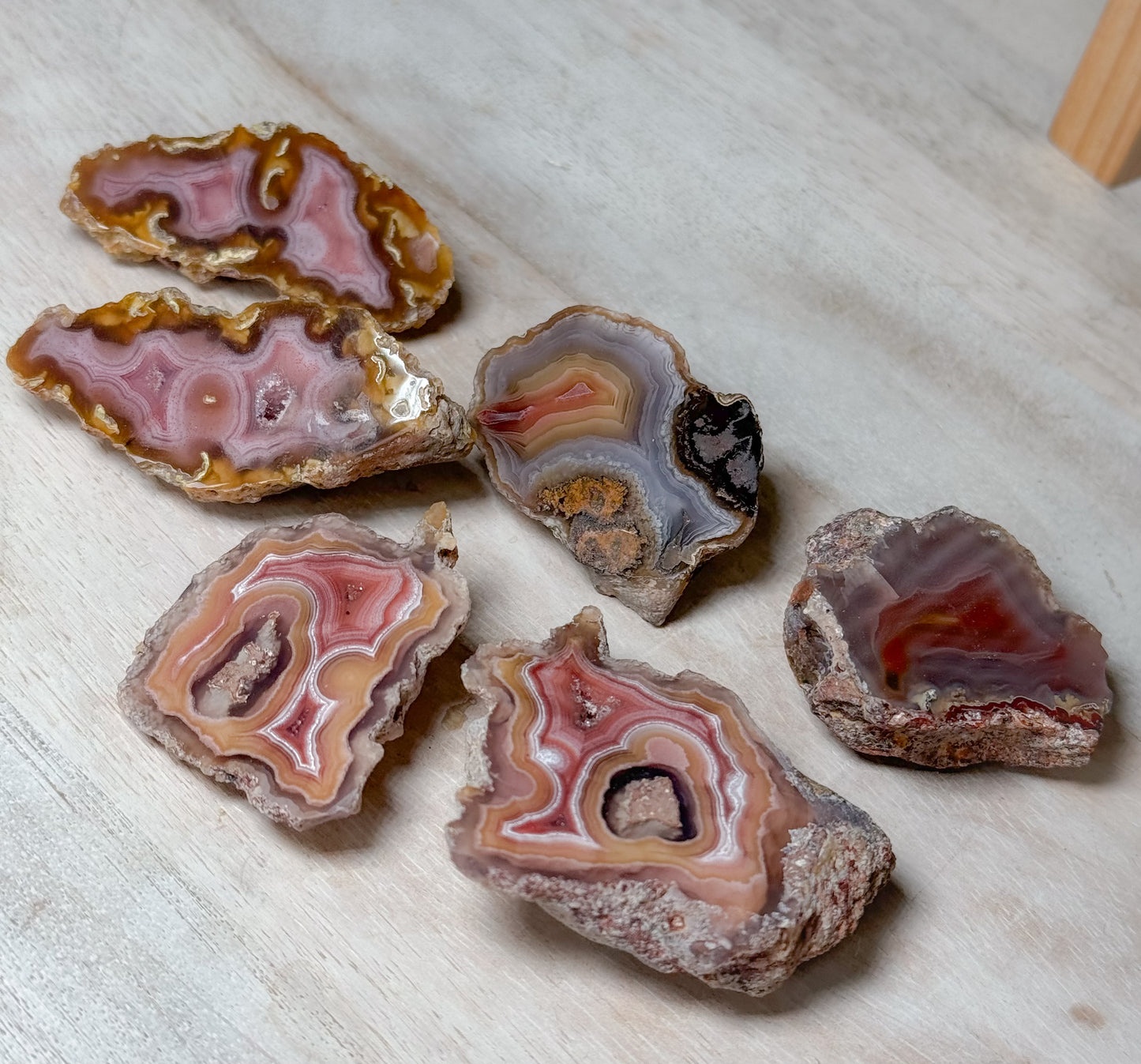 Laguna Agate, Chihuahua, Mexico - Choose Your Own!