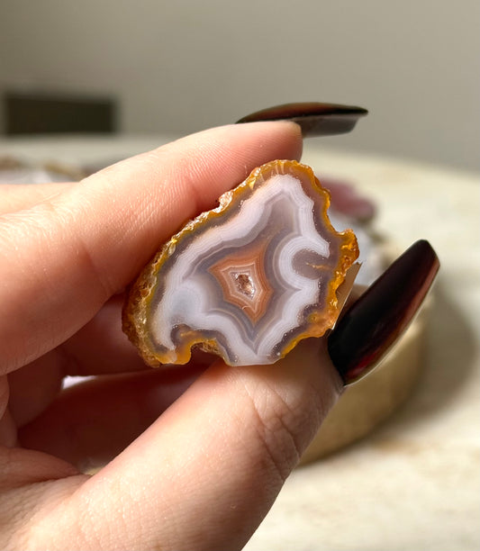Laguna Agate, Chihuahua, Mexico - 26g