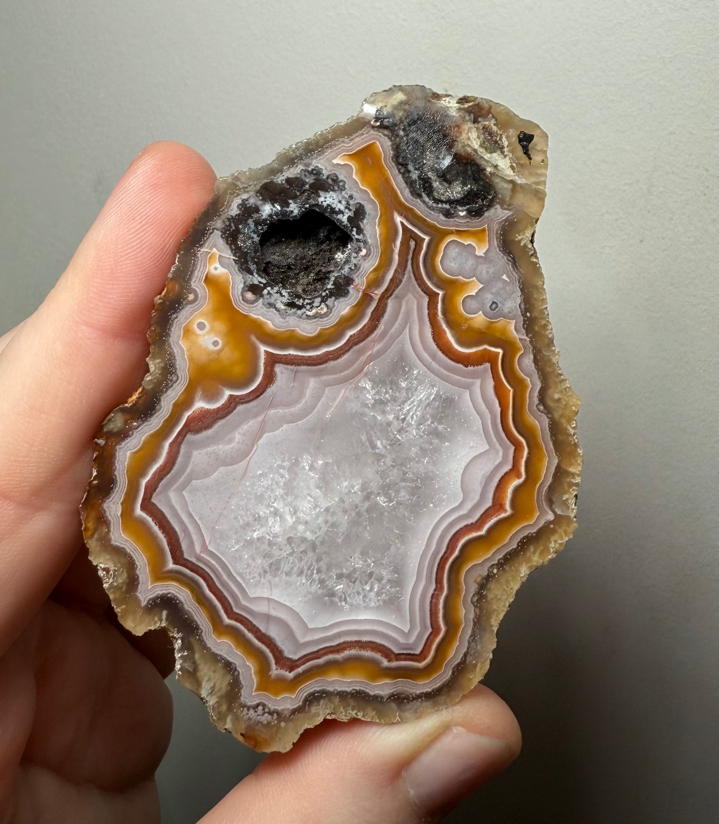 Laguna Agate, Chihuahua, Mexico - Choose Your Own!