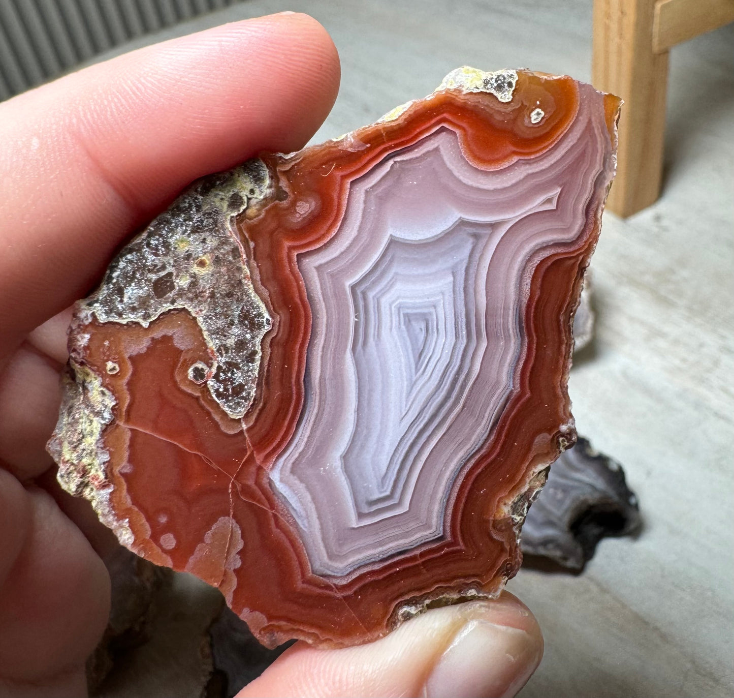 Laguna Agate, Chihuahua, Mexico - Choose Your Own!