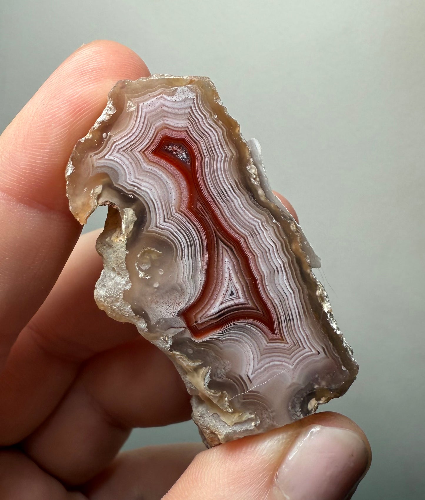 Laguna Agate, Chihuahua, Mexico - Choose Your Own!