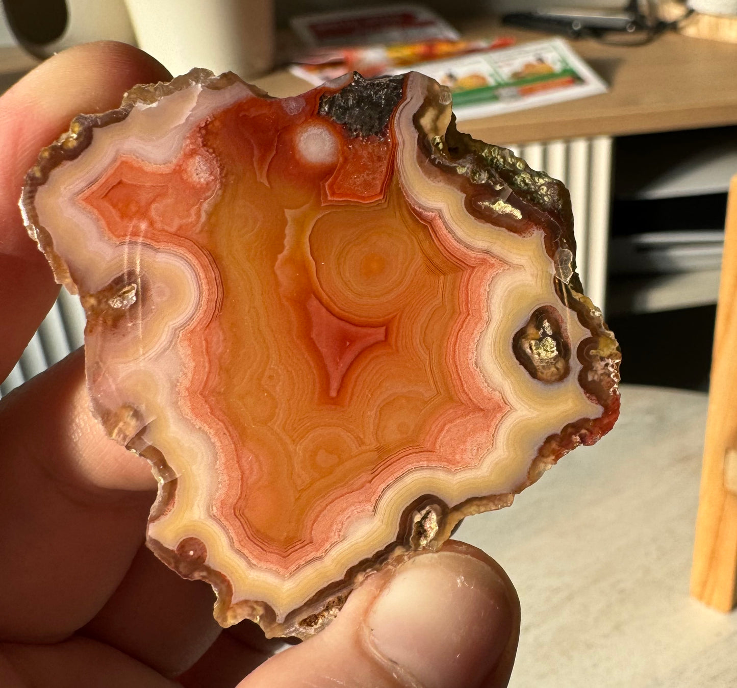 Laguna Agate, Chihuahua, Mexico - Choose Your Own!