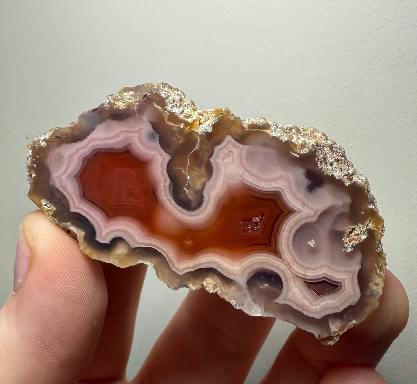 Laguna Agate, Chihuahua, Mexico - Choose Your Own!