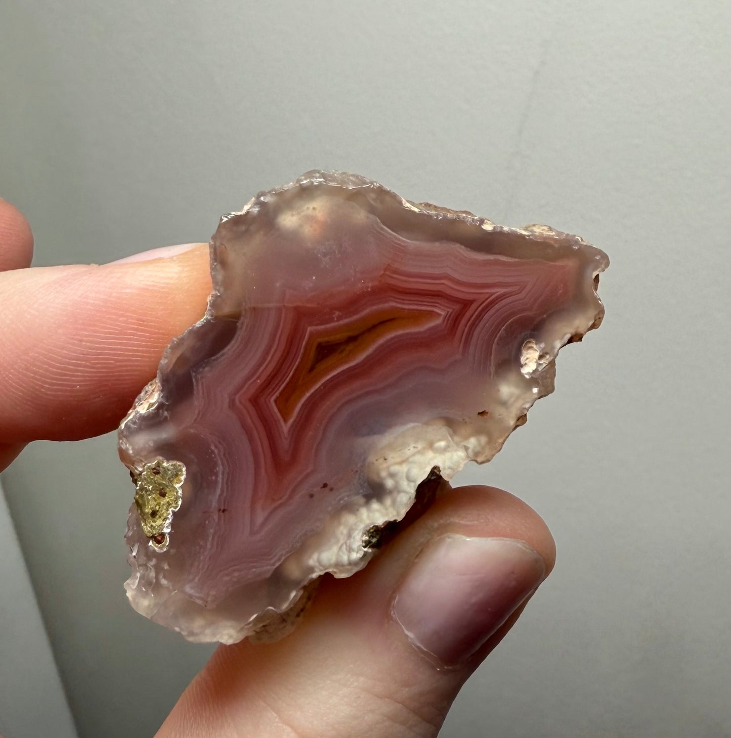 Laguna Agate, Chihuahua, Mexico - Choose Your Own!