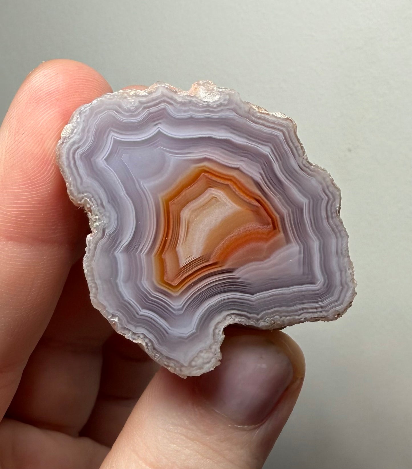 Laguna Agate, Chihuahua, Mexico - Choose Your Own!