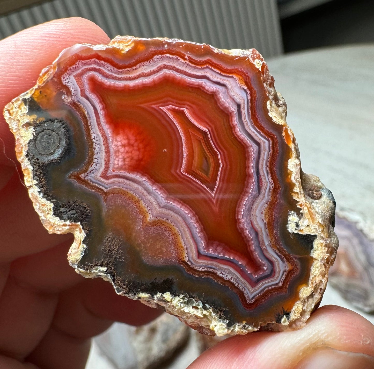 Laguna Agate, Chihuahua, Mexico - Choose Your Own!