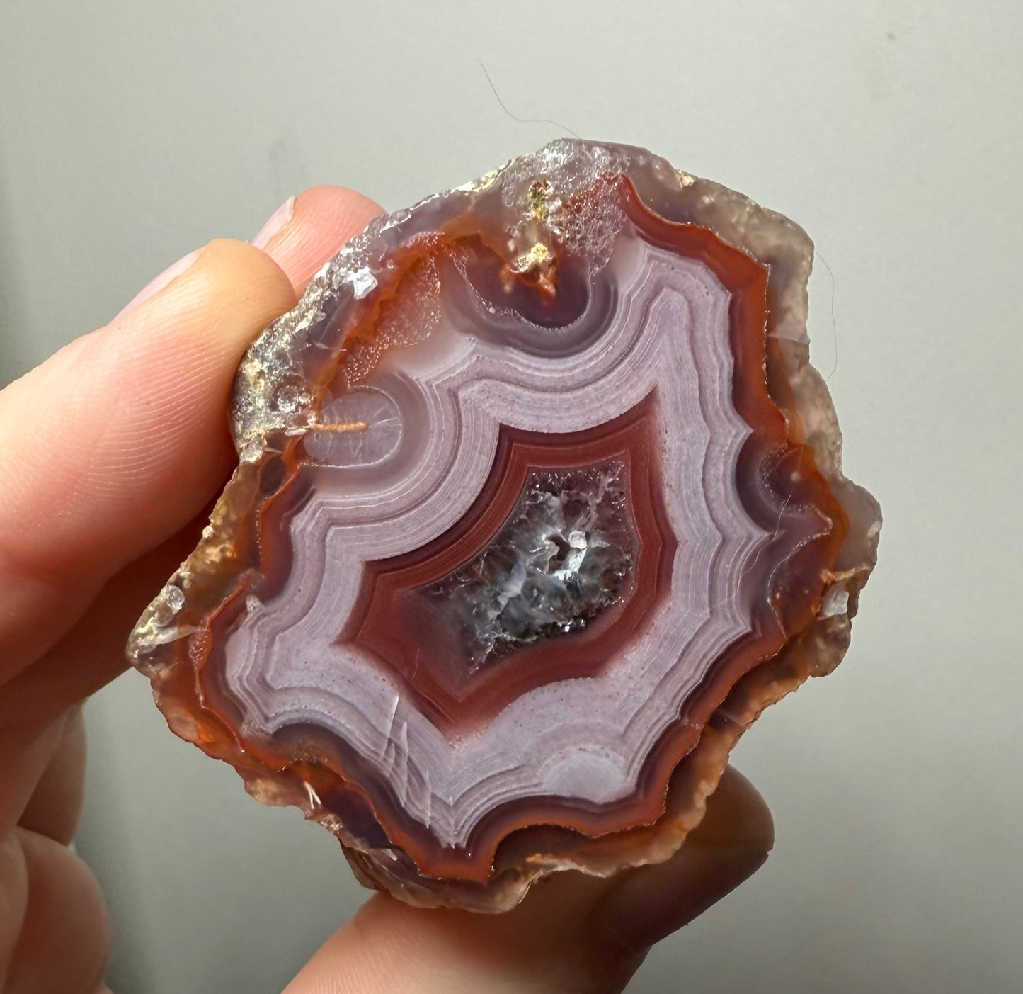 Laguna Agate, Chihuahua, Mexico - Choose Your Own!